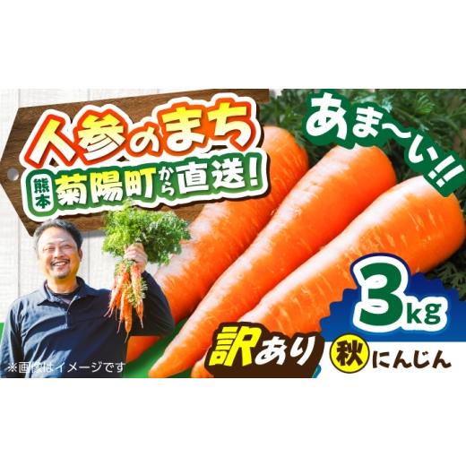 ふるさと納税 野菜類 人参 熊本県 菊陽町 先行予約 11月中旬より順次発送 訳あり 菊陽秋にんじん 約3kg / にんじん 菊陽にんじん 西洋にんじん ニンジン 人…