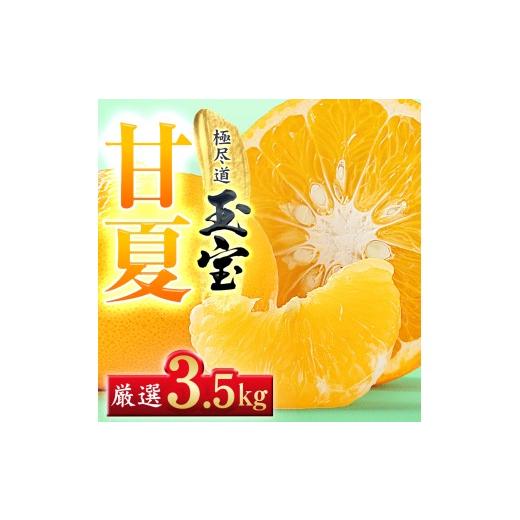ふるさと納税 果物類 みかん 愛媛県 八幡浜市 先行受付 愛媛名産 玉宝甘夏 3.5kg C64-73 ふるさと納税 果物 くだもの あまなつ みかん ミカン 蜜柑 柑橘 フ…