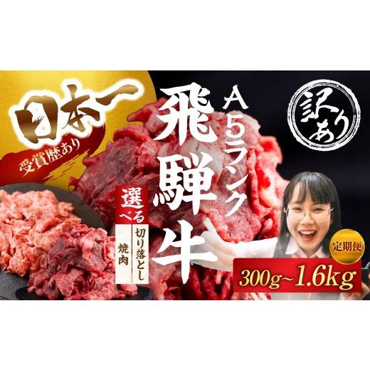 ふるさと納税 牛肉 焼肉・バーベキュー 岐阜県 大垣市 選べる 訳あり 飛騨牛 A5 切り落とし 1200g 1.2kg 定期便 3回|選べる 回数 定期便 肉 飛騨牛 A5 A5ラ…