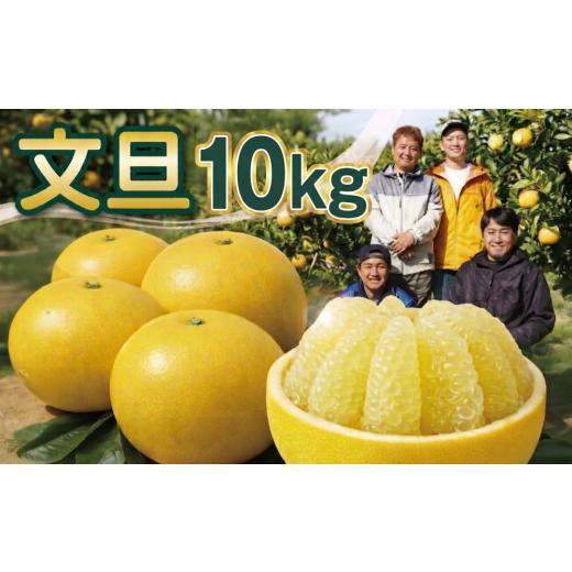 ふるさと納税 みかん・柑橘類 高知県 宿毛市 爽やか土佐文旦家庭用10kg(L〜5L 約15〜25個前後) 爽やか土佐文旦 家庭用約10kg 約15〜25個前後