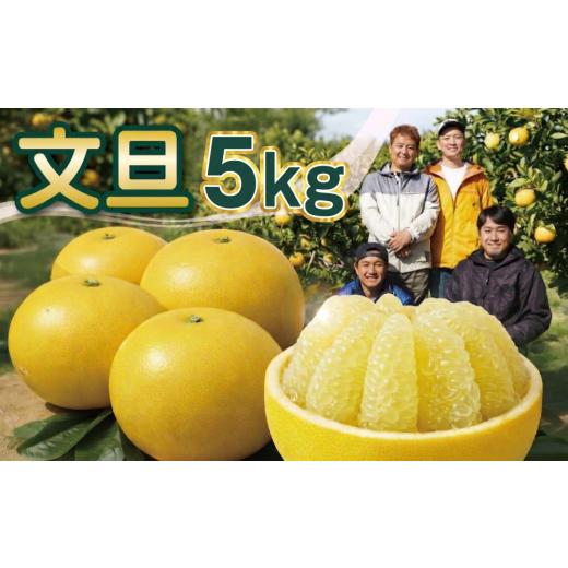 ふるさと納税 みかん・柑橘類 高知県 宿毛市 太陽の土佐文旦 家庭用 5kg(L〜4L 約10〜15個前後) 太陽の土佐文旦 家庭用 約5kg 約10〜15個前後