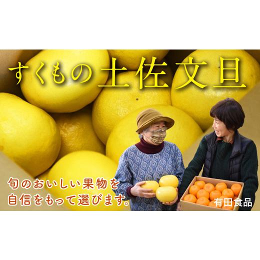ふるさと納税 みかん・柑橘類 高知県 宿毛市 土佐文旦 5kg 家庭用 有田食品 家庭用 約5kg (7,000円)