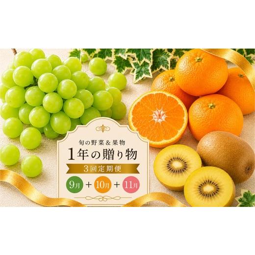 ふるさと納税 ぶどう マスカット 香川県 丸亀市 定期便 3回 シャインマスカット キウイ ぶどう ゴールドキウイ みかん 温州みかん 果物 フルーツ 旬 旬のフル…