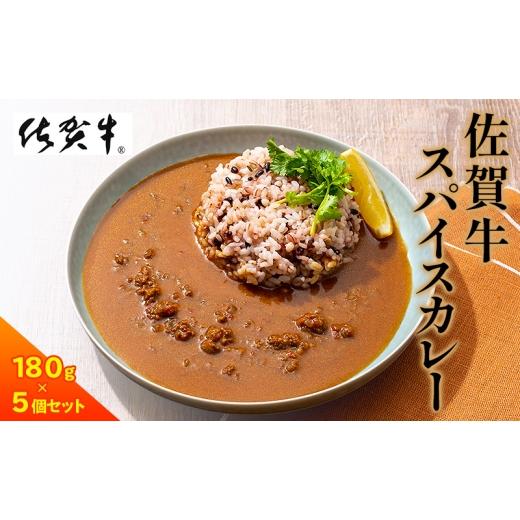 ふるさと納税 牛肉 カレー・シチュー 佐賀県 鳥栖市 カレー 佐賀牛スパイスカレー5個セット レトルト 惣菜 牛 牛肉