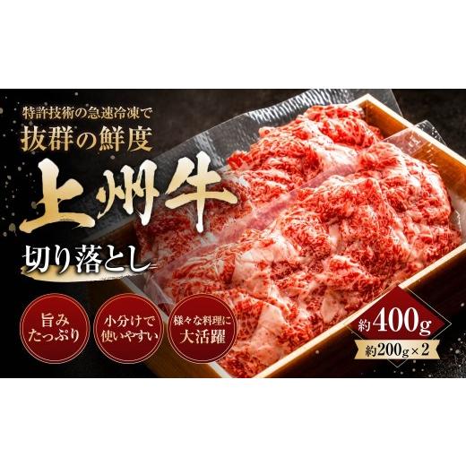 ふるさと納税 牛肉 群馬県 前橋市 上州牛切り落とし 200g×2パック 400g |牛肉 切り落とし 霜降り 和牛 高級 ぜいたく 贅沢 特別 牛 焼肉 すき焼き 牛丼 炒め…