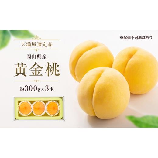 ふるさと納税 もも 岡山県 玉野市 天満屋選定品 岡山県産 黄金桃(約300g×3玉)2026年発送