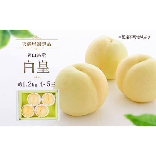 ふるさと納税 もも 岡山県 玉野市 天満屋選定品 岡山県産 白皇 約1.2kg 4〜5玉(2026年発送)