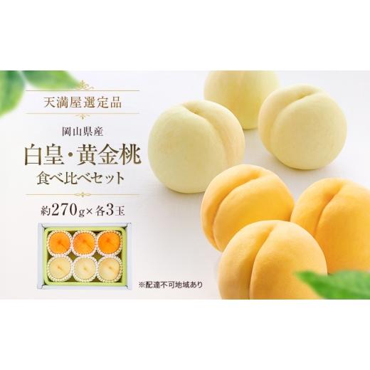 ふるさと納税 もも 岡山県 玉野市 天満屋選定品 岡山県産白皇・黄金桃食べ比べセット(約270g×各3玉)2026年発送