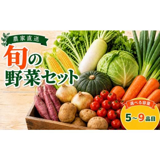 ふるさと納税 セット・詰合せ 千葉県 銚子市 野菜セット 旬 野菜 詰め合わせ セット 5〜9品目 先行予約 やさい 野菜詰め合わせ おまかせ 新鮮野菜 農家直送 産…
