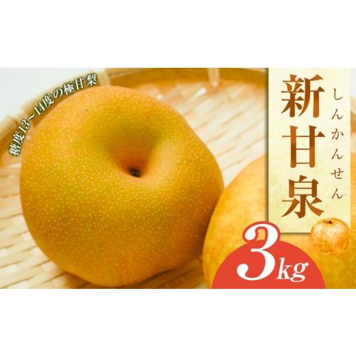 ふるさと納税 梨 鳥取県 北栄町 先行予約 新甘泉 梨 3kg(JA) 2026年8月中旬〜9月上旬頃に順次発送予定 梨 なし ナシ しんかんせん 鳥取県産 くだもの 果物 …
