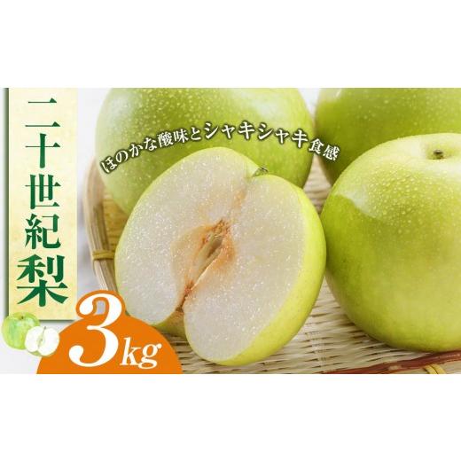 ふるさと納税 梨 鳥取県 北栄町 先行予約 二十世紀梨 3kg(JA) 2026年8月下旬〜9月上旬頃に順次発送予定 梨 なし ナシ 二十世紀 鳥取県産 くだもの 果物 フ…