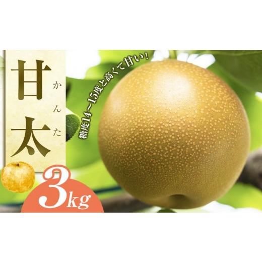 ふるさと納税 梨 鳥取県 北栄町 先行予約 甘太(かんた)3kg(JA) 2026年9月下旬〜10月上旬頃に順次発送予定 梨 なし ナシ 鳥取県産 くだもの 果物 フルーツ…
