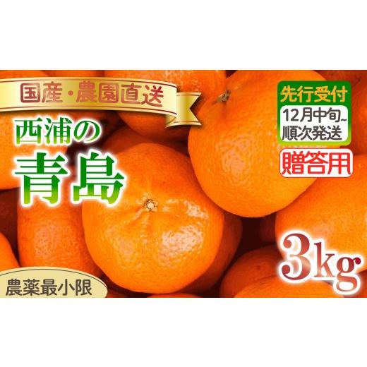 ふるさと納税 果物類 みかん 静岡県 沼津市 青島 みかん 3kg 贈答用 木負観光みかん園 ミカン オレンジ 蜜柑 柑橘 フルーツ 旬 果物 国産 産地直送 季節限定 …