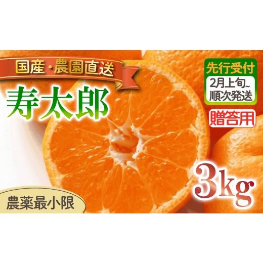 ふるさと納税 果物類 みかん 静岡県 沼津市 寿太郎 みかん 3kg 贈答用 木負観光みかん園 ミカン オレンジ 蜜柑 柑橘 フルーツ 旬 果物 国産 産地直送 季節限定…