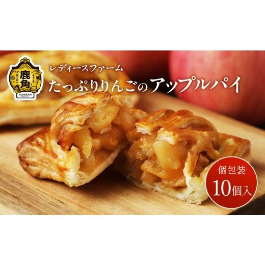ふるさと納税 焼菓子・チョコレート アップルパイ 秋田県 鹿角市 [先行予約] 2026年10月発送 たっぷりりんごの アップルパイ 10個入(箱入り) レディースフ…
