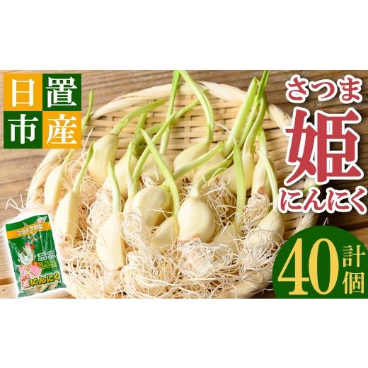ふるさと納税 薬味・ハーブ 鹿児島県 日置市 No.1374 鹿児島県産 さつま姫にんにく(20個×2袋・計40個) 国産 九州産 鹿児島 にんにく ひげにんにく ニンニク …