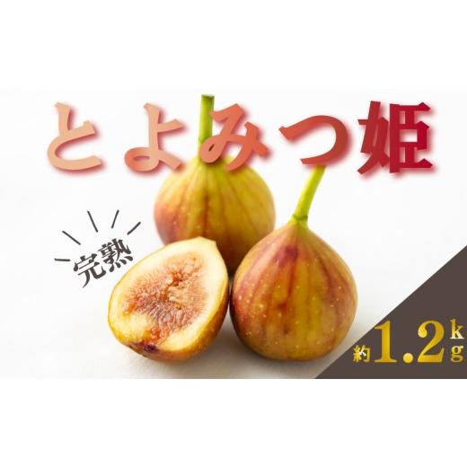 ふるさと納税 みかん・柑橘類 福岡県 川崎町 2026年9月下旬-10月下旬発送予定 福岡県産 とよみつ姫 約1.2kg(約300g×4パック入り) いちじく イチジク 無花果 …