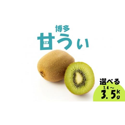 ふるさと納税 果物類 福岡県 川崎町 2026年10月下旬-11月下旬発送予定 福岡県産 博多甘うぃ 約3.5kg(20玉-27玉入 キウイ 甘うぃ 大玉 果物 スイーツ 数量 期…