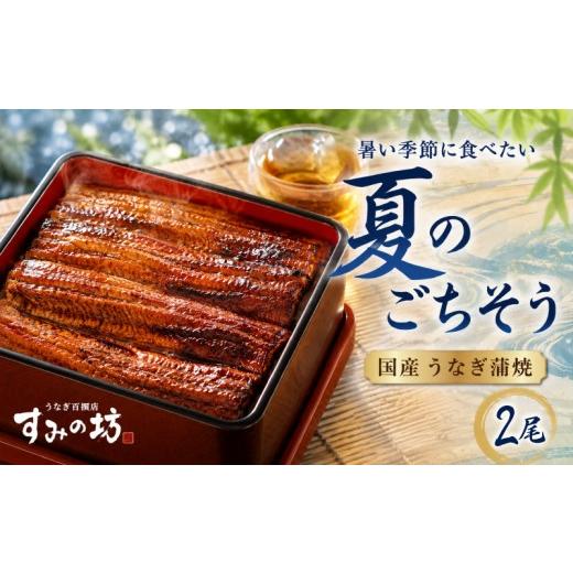 ふるさと納税 川魚 静岡県 三島市 夏季限定 夏のごちそう 国産うなぎの蒲焼き 2尾 うなぎ[1尾につき160g〜180g] 特上サイズ 手焼き 炭火 個包装 真空パック…