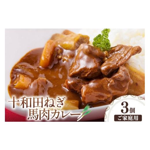 ふるさと納税 加工品等 レトルト 青森県 十和田市 十和田ねぎ馬肉カレー 3個セット ご家庭用・簡易包装 レトルト 惣菜 十和田ねぎ馬肉カレー 3個セット 10,500…