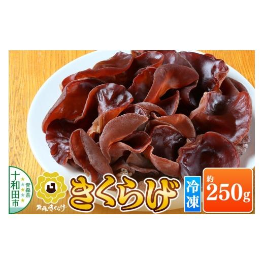 ふるさと納税 野菜類 きのこ 青森県 十和田市 青森きくらげ(冷凍キクラゲ)約250g 十和田市産 真空パック 国産 冷凍 青森きくらげ(冷凍)約250g 7,000円