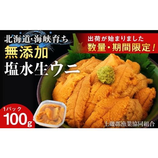 ふるさと納税 ウニ 北海道 知内町 2026年6月中旬以降発送 キタムラサキウニ 100g×1パック 上磯郡漁業協同組合 むらさきうに 塩水ウニ 塩水パック 無添加 知…