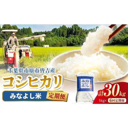 ふるさと納税 米 コシヒカリ 千葉県 市原市 みなよし米 定期便 市原産コシヒカリ 5kg×6回 計30kg お届け みなよし米 市原産コシヒカリ 定期便5kgを6回お届け…