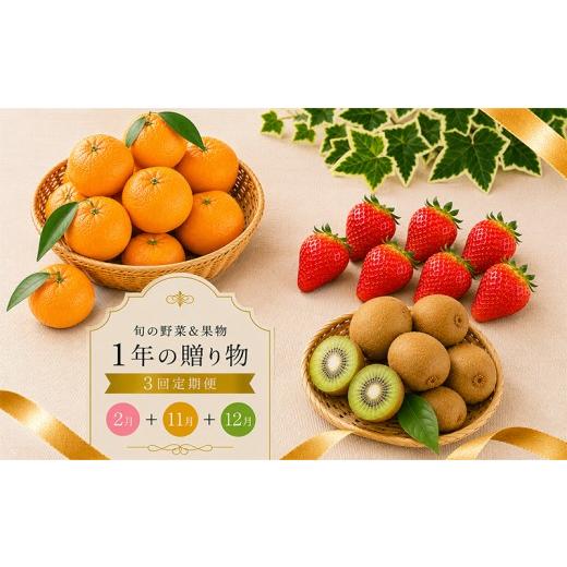 ふるさと納税 いちご 香川県 丸亀市 定期便 3回 いちご 苺 みかん キウイ 小原紅早生 キウイっこ 小粒 さぬき姫 旬 季節 秋 果物 フルーツ 旬 旬のフルーツ 贈…
