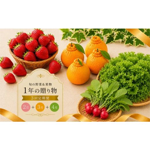 ふるさと納税 いちご 香川県 丸亀市 定期便 3回 いちご 苺 デコポン 野菜 セット さぬき姫 旬 季節 秋 果物 フルーツ 旬 旬のフルーツ 贈答用 ギフト プレゼン…