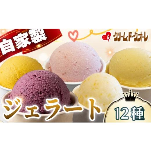 ふるさと納税 アイス・ヨーグルト ジェラート 静岡県 三島市 手作り ジェラート 12種 セット アイス アイスクリーム じぇらーと 詰め合わせ 食べ比べ スイーツ…