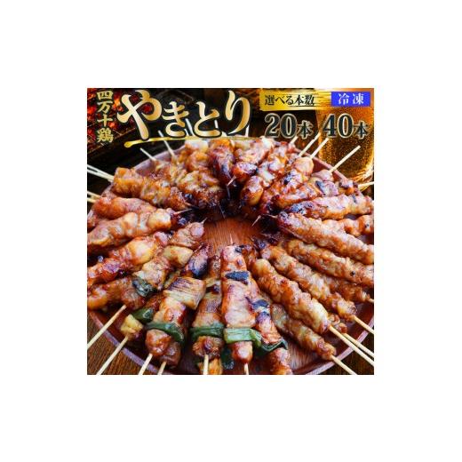 ふるさと納税 鶏肉 焼き鳥 高知県 佐川町 四万十鶏のやきとり 20本(生) 国産鶏 焼き鳥 焼鳥串 炭火 5種(せせり もも にんにくま ねぎま かわ 各1本)5本1…
