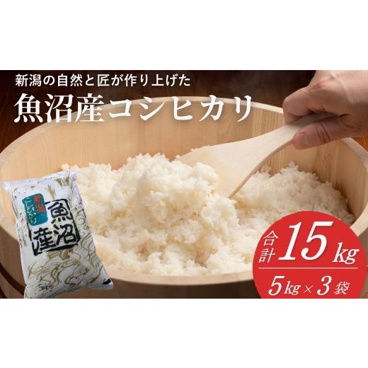 ふるさと納税 米 コシヒカリ 新潟県 小千谷市 米 コシヒカリ魚沼産コシヒカリ 魚沼コシヒカリ 15kg 令和7年産 精米 共栄農工社 | 魚沼産こしひかり 魚沼こしひ…