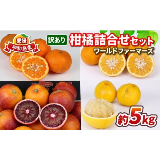 ふるさと納税 果物類 みかん 愛媛県 宇和島市 愛媛みかん 訳あり 柑橘 詰め合わせ セット 5kg ワールドファーマーズ わけあり 先行予約 愛媛蜜柑 愛媛ミカン …