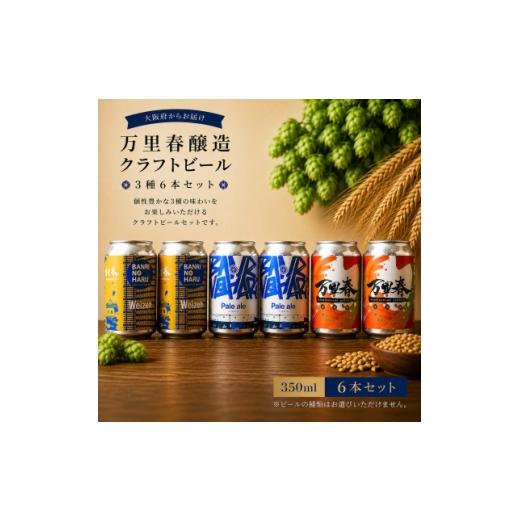 ふるさと納税 ビール 地ビール 大阪府 富田林市 ブルワー厳選 万里春醸造クラフトビール 3種飲み比べ 6本セット 1754514