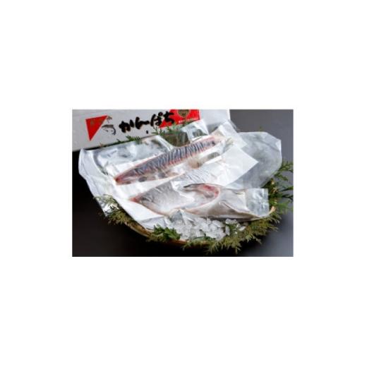 ふるさと納税 旬の鮮魚等 鹿児島県 - かのやカンパチロイン4柵入りカマ2個 計1200g 1751131