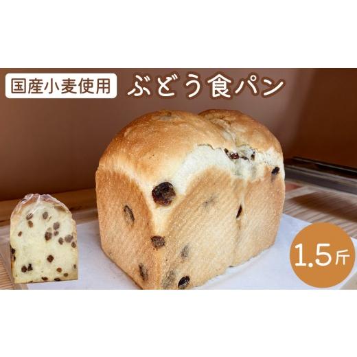 ふるさと納税 パン 食パン 高知県 東洋町 ぶどう食パン