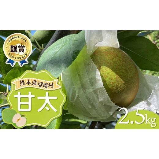 ふるさと納税 梨 熊本県 球磨村 FKP9-718 甘太 2.5kg(4〜7玉) 梨 果物 フルーツ 特産品