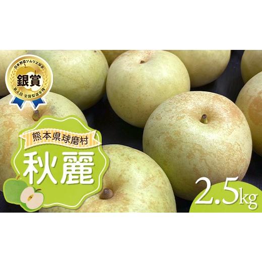 ふるさと納税 梨 熊本県 球磨村 FKP9-720 秋麗 2.5kg(5〜6玉) 梨 果物 フルーツ 特産品