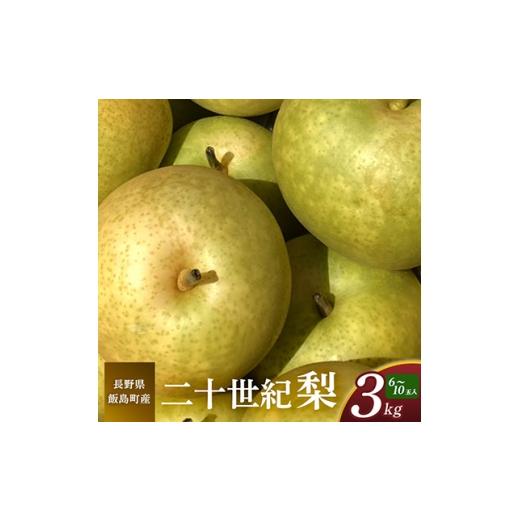 ふるさと納税 梨 長野県 飯島町 二十世紀梨 3kg 長野県飯島町産 1631967