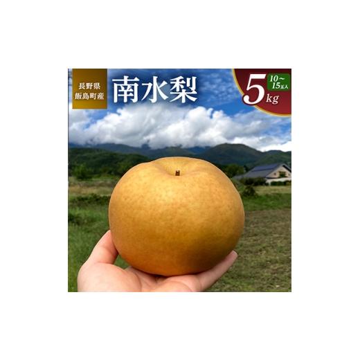 ふるさと納税 梨 長野県 飯島町 南水 5kg 長野県飯島町産 1632054