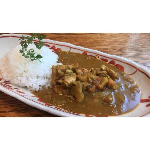ふるさと納税 惣菜・レトルト 冷凍 愛知県 名古屋市 名古屋コーチンのスパイスカリー