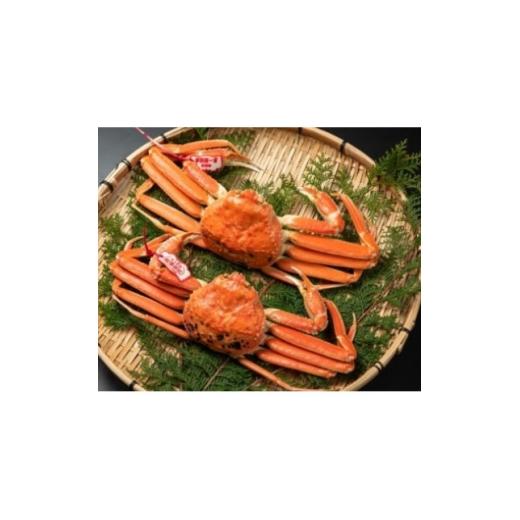 ふるさと納税 カニ ずわいガニ 鳥取県 伯耆町 11月中旬以降順次発送 ブランドタグ付ボイル松葉ガニ 600〜700gを2枚 OM-27 1745695