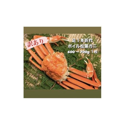 ふるさと納税 カニ ずわいガニ 鳥取県 伯耆町 11月中旬以降順次発送 訳あり足1本折れボイル松葉ガニ(600〜700gを1枚) OM-31 1745696