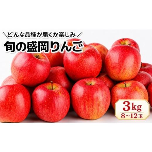 ふるさと納税 りんご 岩手県 盛岡市 先行予約 旬の盛岡りんご 詰め合わせ 品種おまかせ 約3kg 8〜12玉 9月下旬発送開始 盛岡りんご 林檎 リンゴ 果物 フルー…
