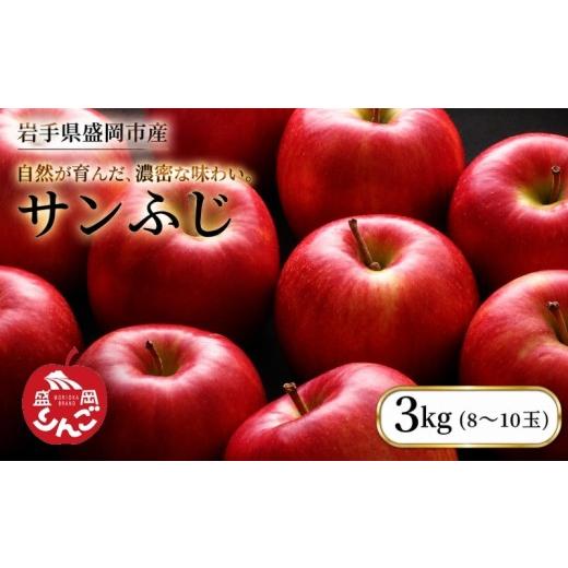 ふるさと納税 りんご 岩手県 盛岡市 先行予約 サンふじ 3kg 12月発送 完熟 りんご 盛岡りんご 朝島観光りんご園 果物類 フルーツ デザート 果汁 甘い 酸味 バ…