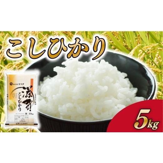 ふるさと納税 米 コシヒカリ 滋賀県 愛荘町 コシヒカリ 5kg 白米 こしひかり コシヒカリ 5kg