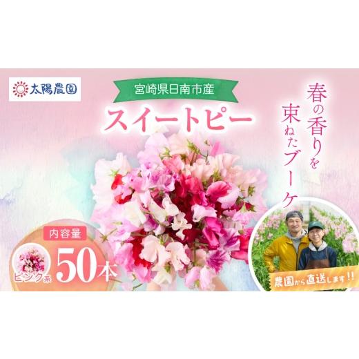 ふるさと納税 花・苗木 花束 宮崎県 日南市 スイートピー 花束 50本 ピンク系 フラワー 期間限定 数量限定 生産者直送 新鮮 花 植物 観賞用 国産 インテリア用…