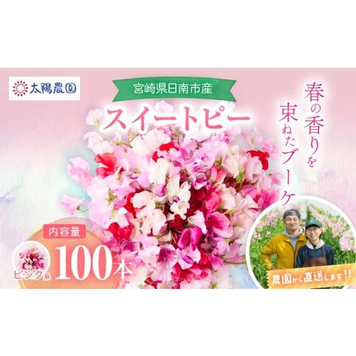 ふるさと納税 雑貨・日用品 花 宮崎県 日南市 スイートピー 花束 100本 ピンク系 フラワー 期間限定 数量限定 生産者直送 新鮮 花 植物 観賞用 国産 インテリ…