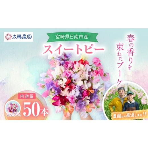 ふるさと納税 花・苗木 花束 宮崎県 日南市 スイートピー 花束 50本 ミックス系 フラワー 期間限定 数量限定 生産者直送 新鮮 花 植物 観賞用 国産 インテリア…