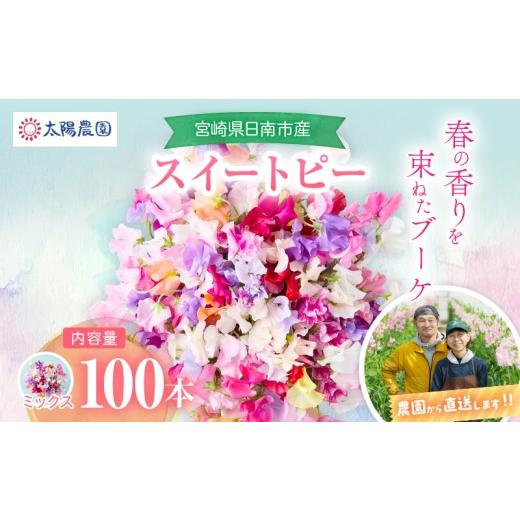 ふるさと納税 花・苗木 花束 宮崎県 日南市 スイートピー 花束 100本 ミックス系 フラワー 期間限定 数量限定 生産者直送 新鮮 花 植物 観賞用 国産 インテリ…